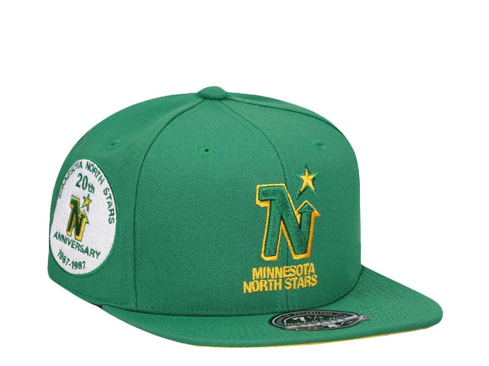 Mitchell & Ness Minnesota North Stars 20th Anniversary Vintage Edition Dynasty Fitted Hat