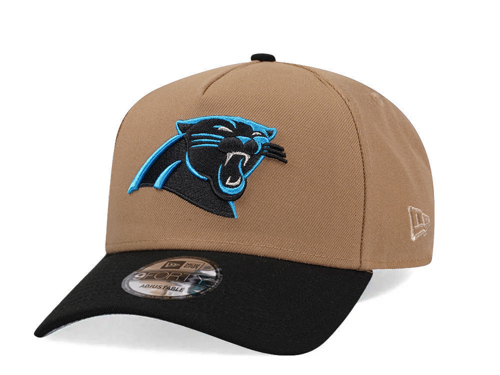 Nfl panthers hat on sale