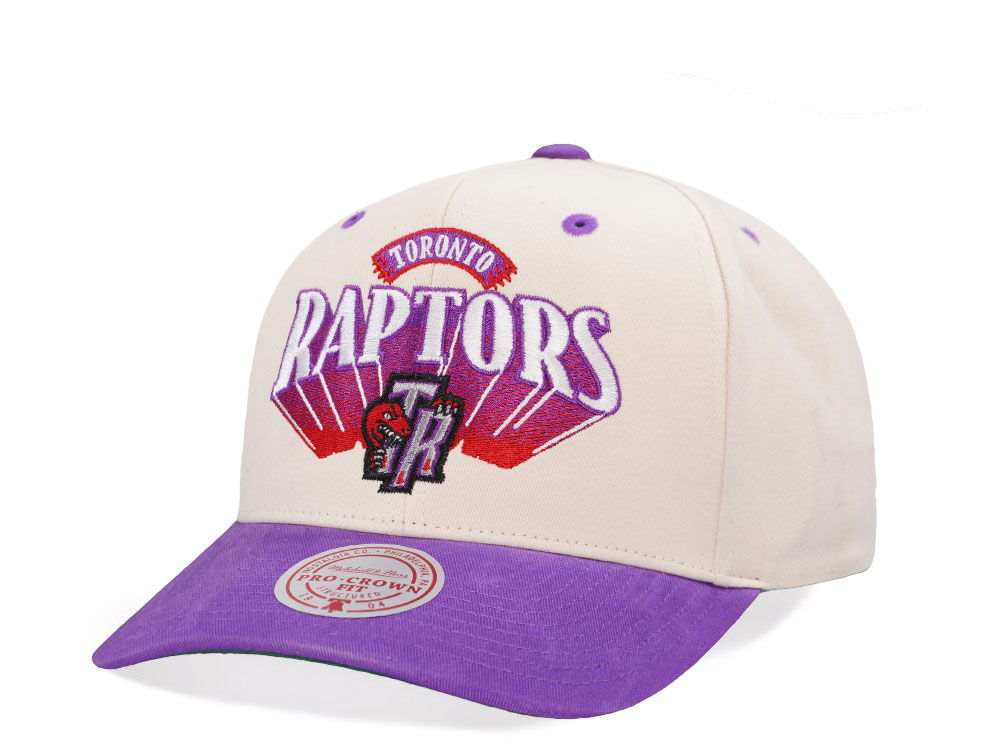 Mitchell & Ness Toronto Raptors Horizon Two Tone Pro Crown Fit Snapback Hat