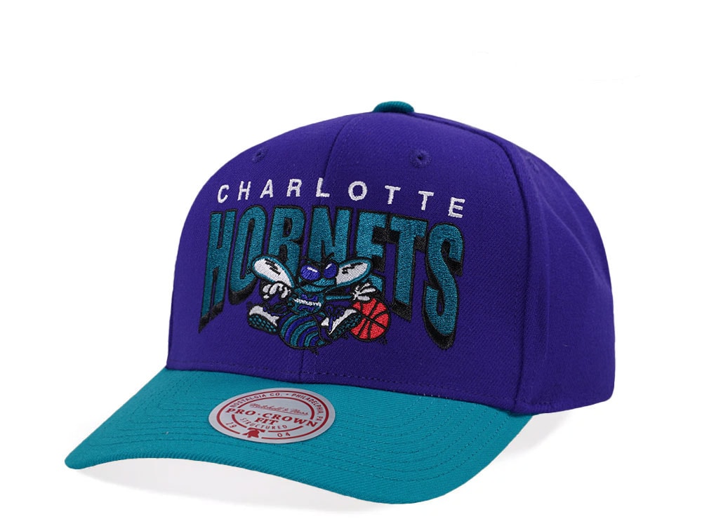 Mitchell & Ness Charlotte Hornets Hardwood Classic Pro Crown Fit Purple Snapback Hat