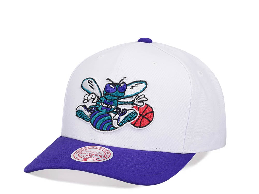 Mitchell & Ness Charlotte Hornets Team Two Tone 2.0 Pro Snapback Hat