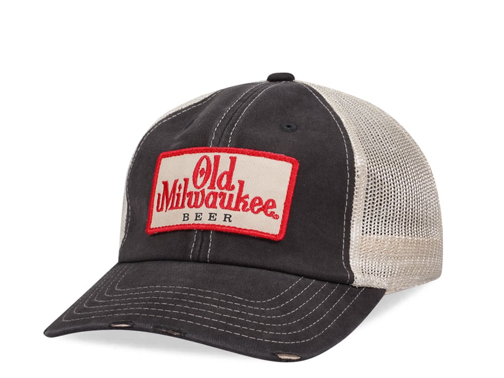 Vintage American Needle Columbus Clippers Snapback Hat MiLB